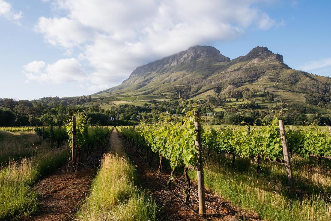Banhoek Lodge Стелленбос Экстерьер фото