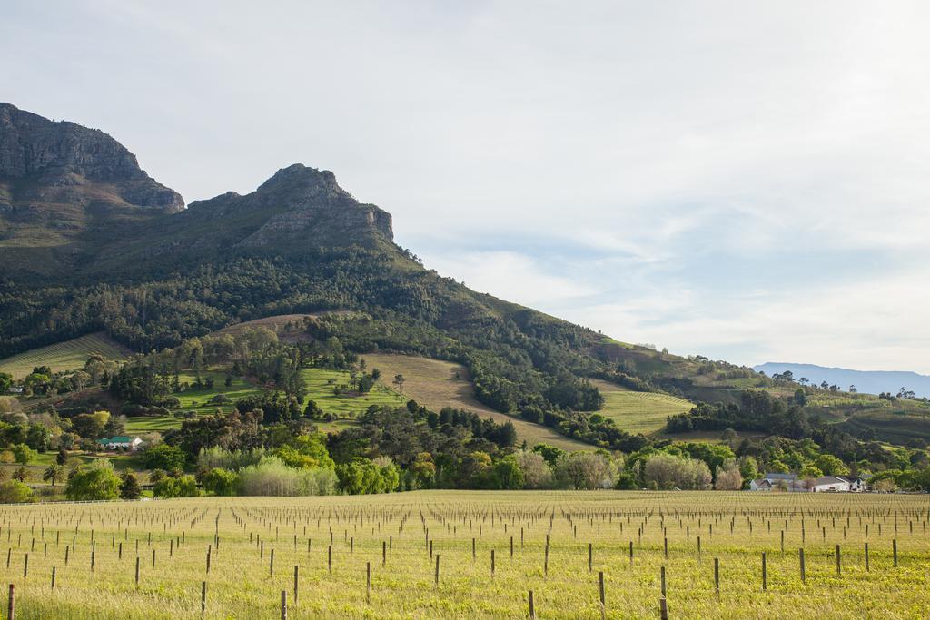 Banhoek Lodge Стелленбос Экстерьер фото